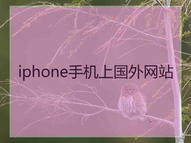 iphone手机上国外网站