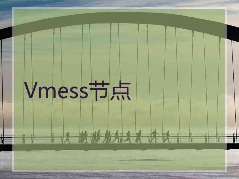 Vmess节点