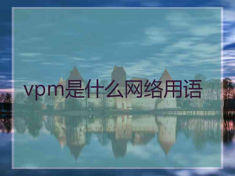 vpm是什么网络用语