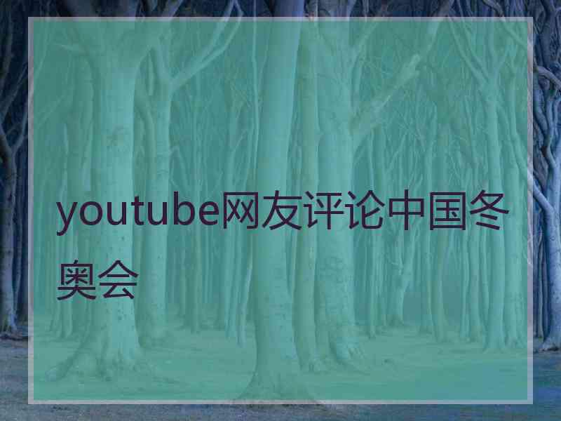 youtube网友评论中国冬奥会