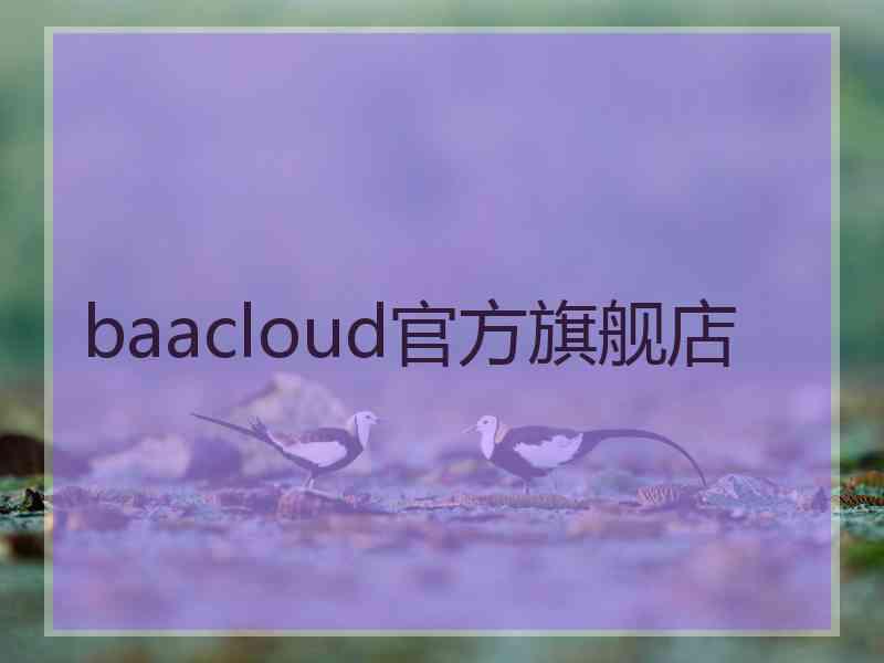 baacloud官方旗舰店