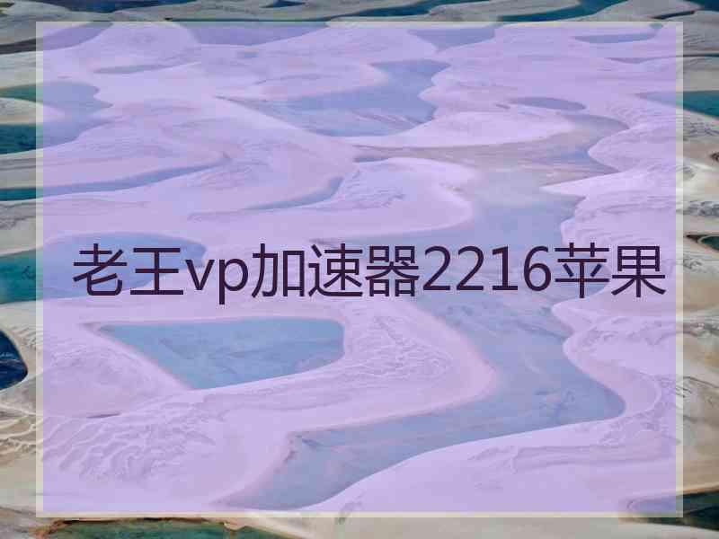 老王vp加速器2216苹果