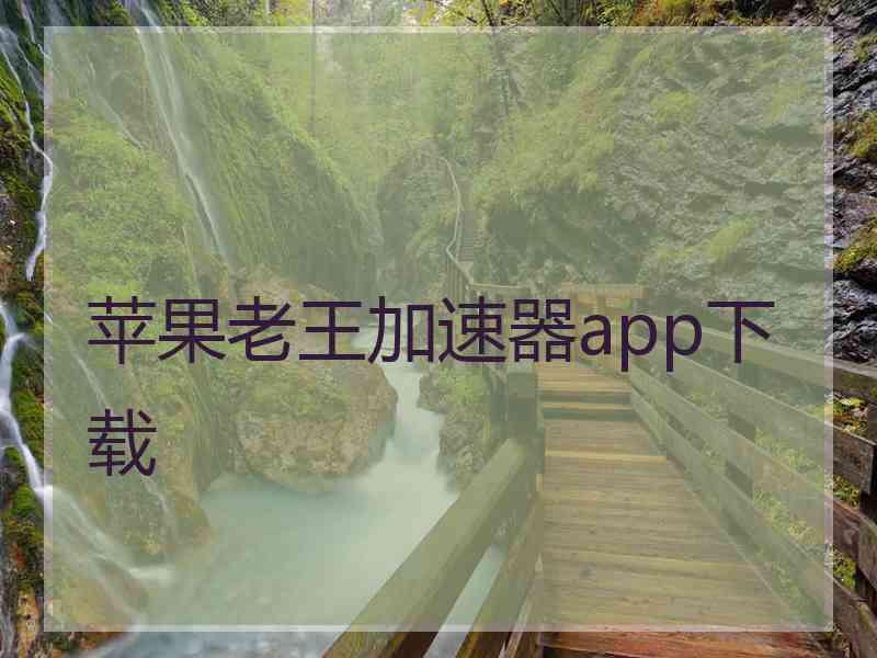 苹果老王加速器app下载