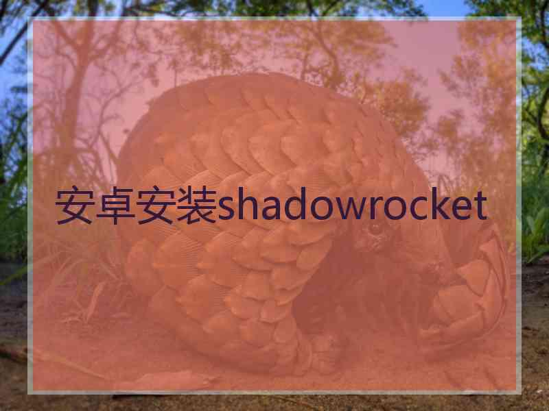 安卓安装shadowrocket