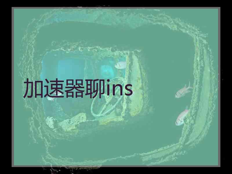 加速器聊ins