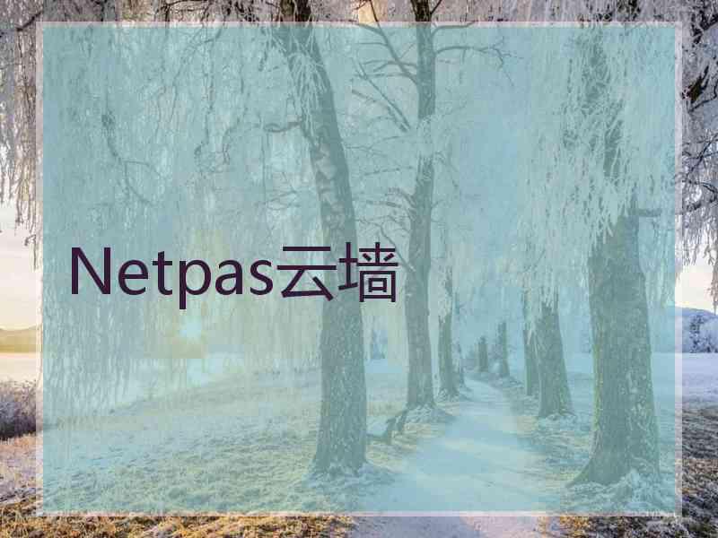 Netpas云墙