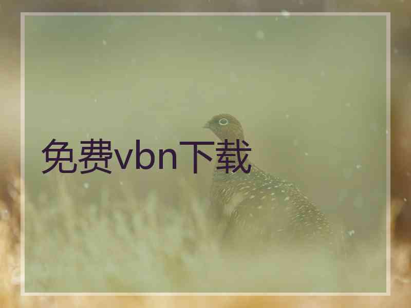 免费vbn下载