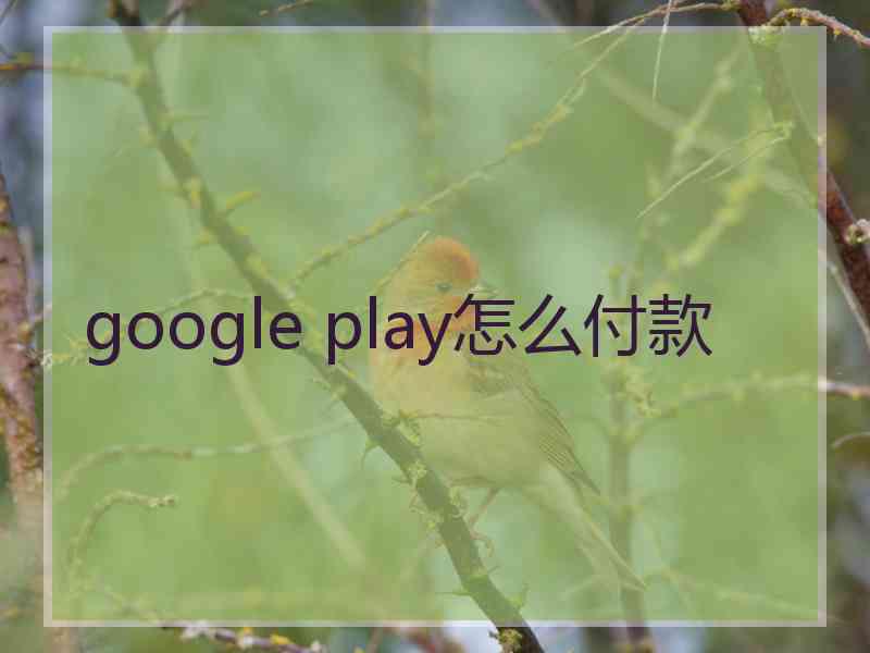 google play怎么付款