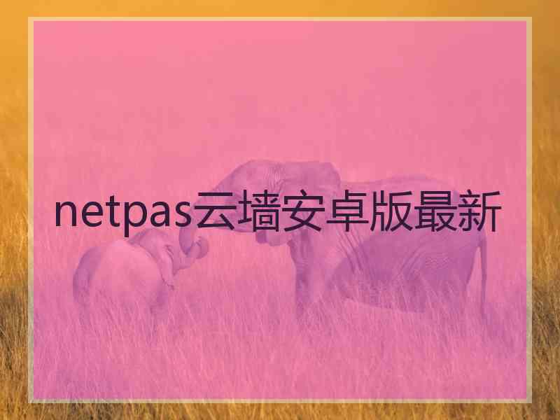 netpas云墙安卓版最新