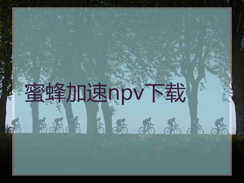 蜜蜂加速npv下载