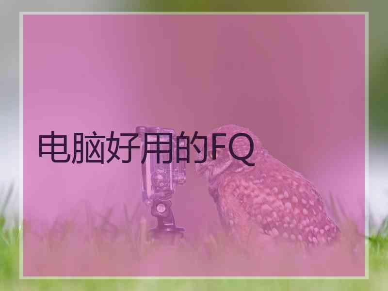 电脑好用的FQ