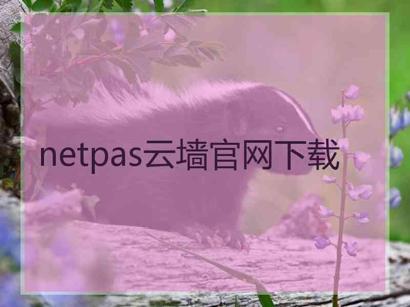 netpas云墙官网下载