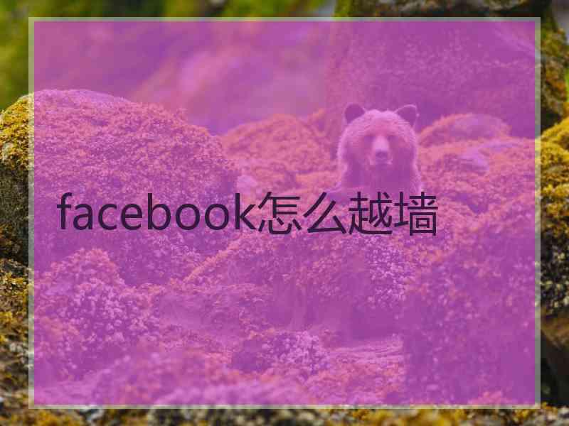 facebook怎么越墙