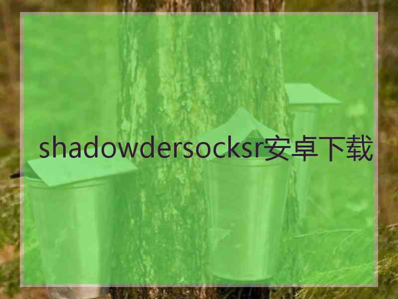 shadowdersocksr安卓下载