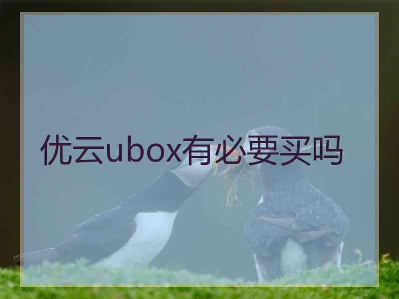 优云ubox有必要买吗