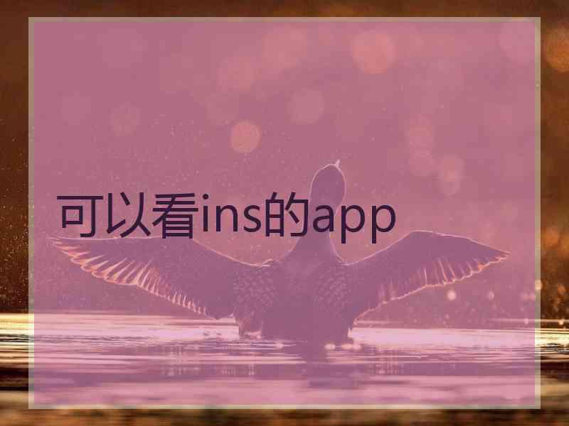 可以看ins的app