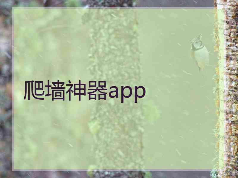 爬墙神器app