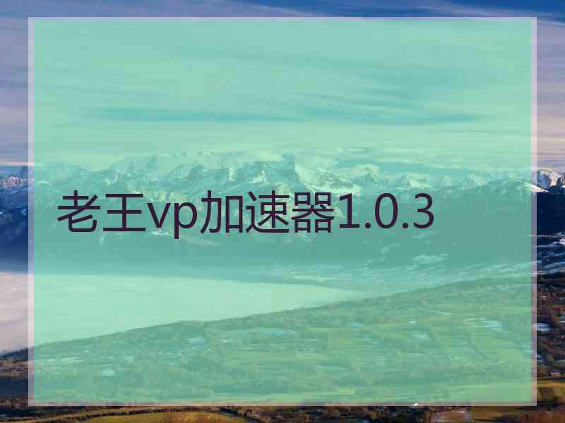 老王vp加速器1.0.3