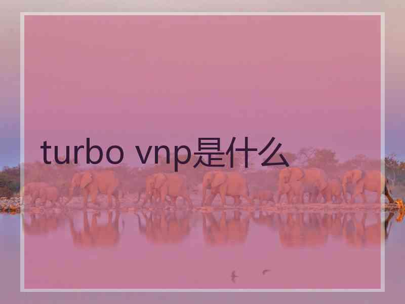 turbo vnp是什么