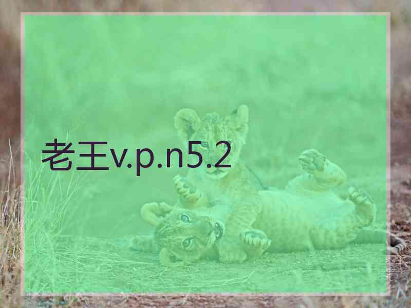 老王v.p.n5.2