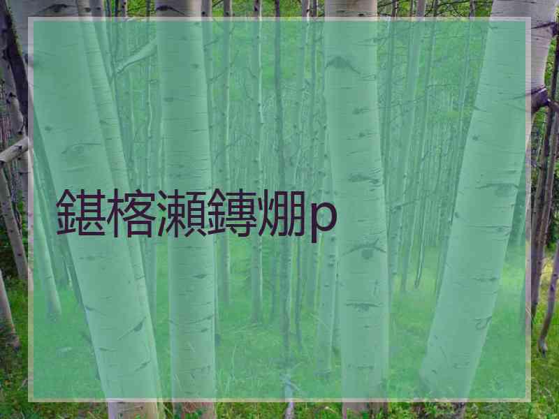 鍖楁瀬鏄焩p