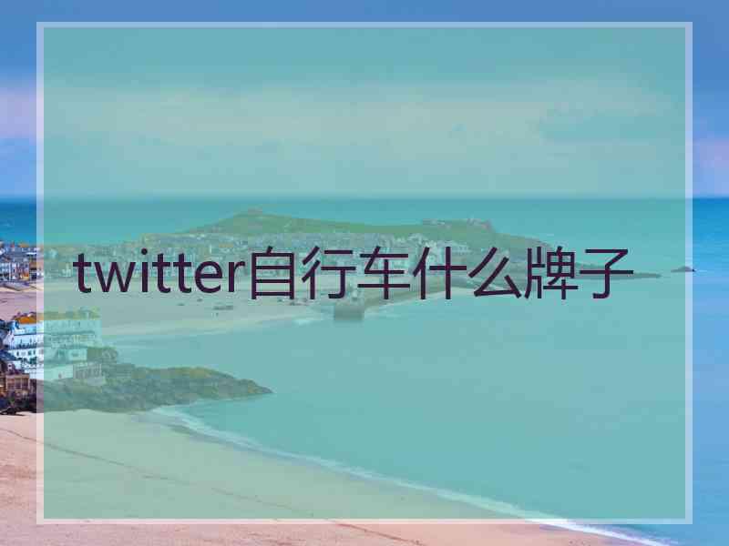 twitter自行车什么牌子