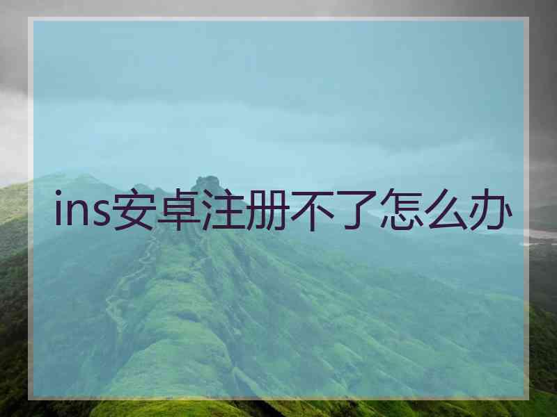 ins安卓注册不了怎么办