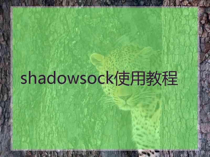 shadowsock使用教程