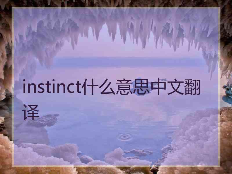 instinct什么意思中文翻译