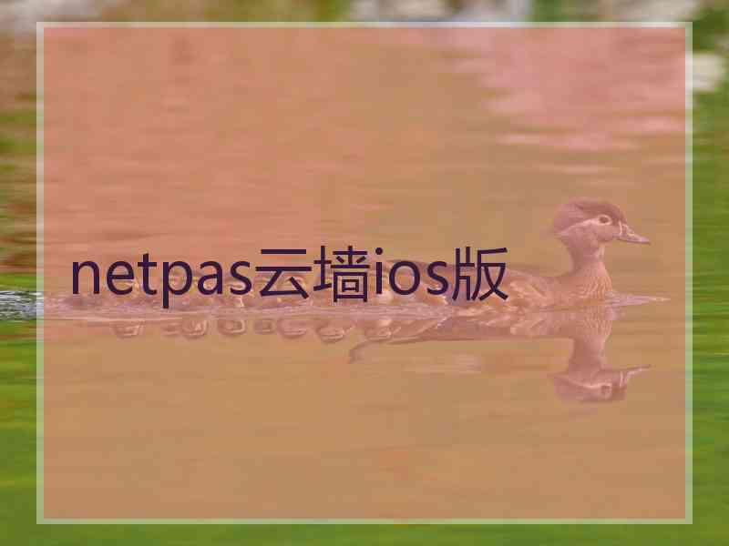 netpas云墙ios版