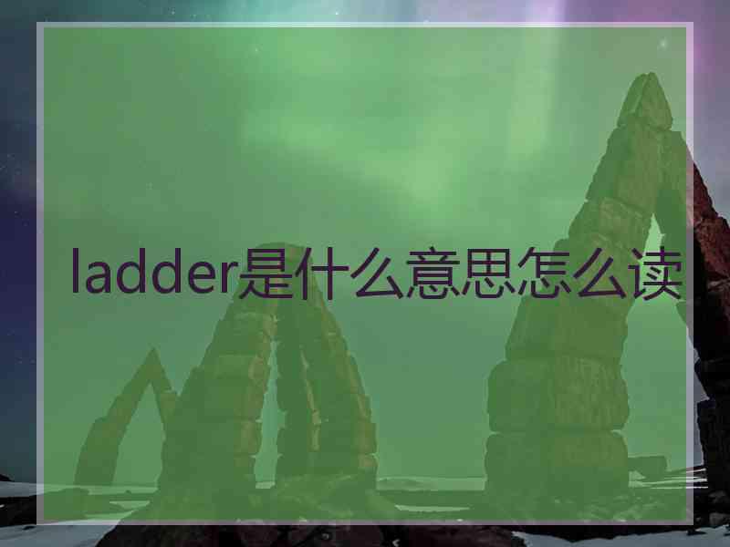 ladder是什么意思怎么读