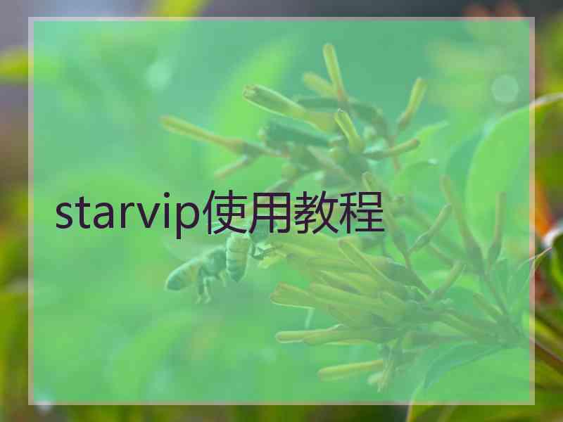 starvip使用教程