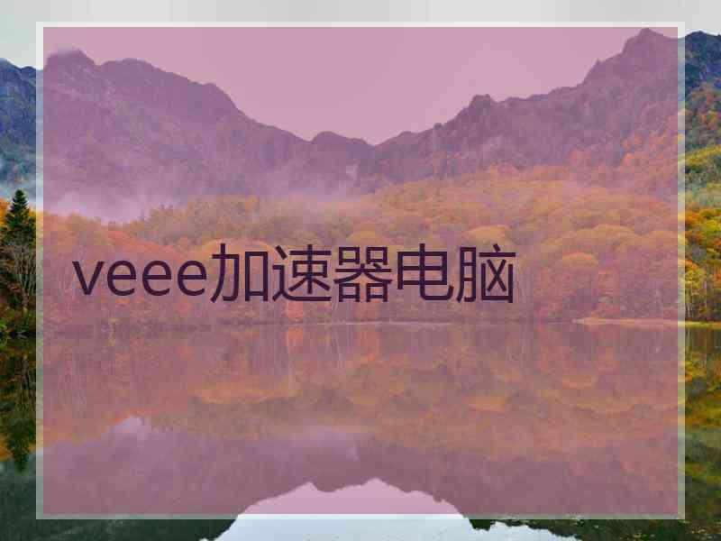 veee加速器电脑