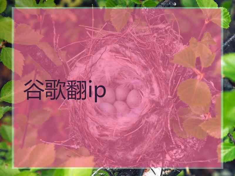 谷歌翻ip