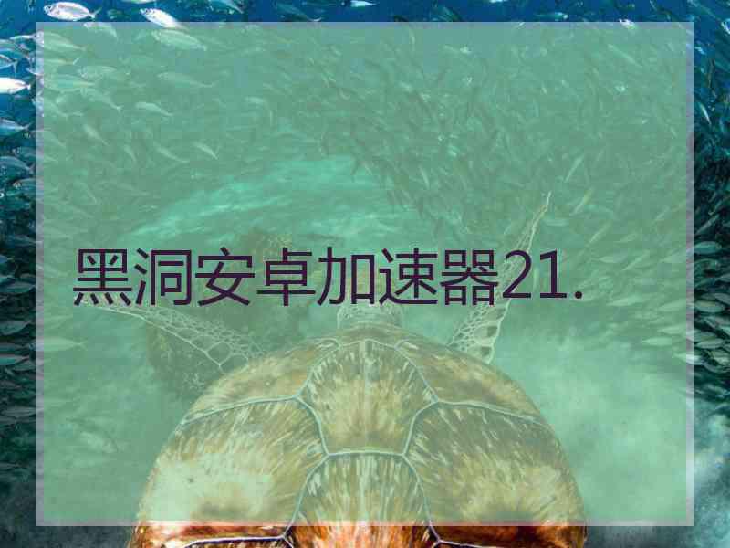 黑洞安卓加速器21.