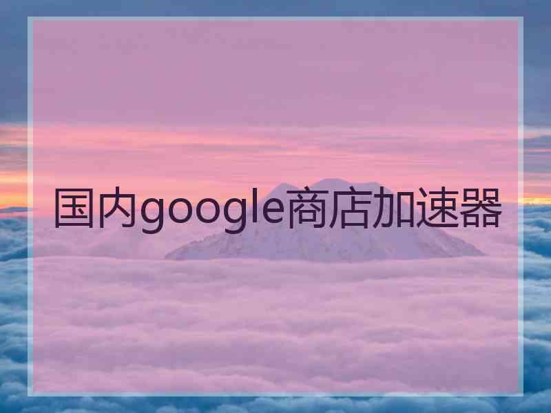 国内google商店加速器