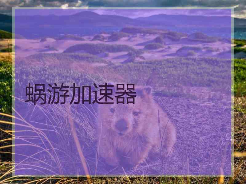 蜗游加速器