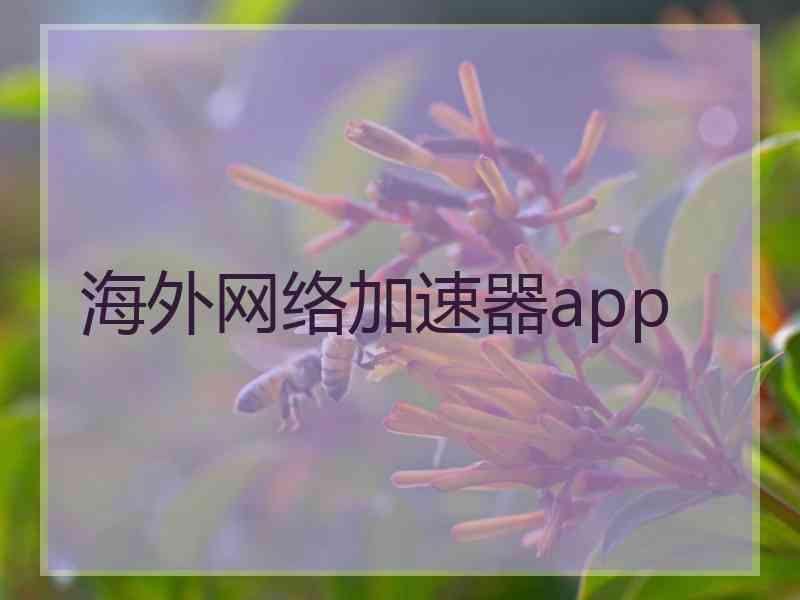 海外网络加速器app