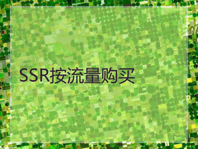 SSR按流量购买