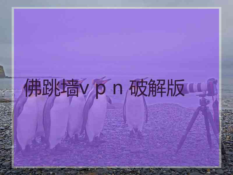 佛跳墙v p n 破解版