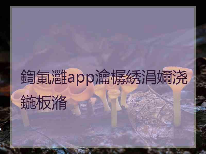 鍧氭灉app瀹樼綉涓嬭浇鍦板潃