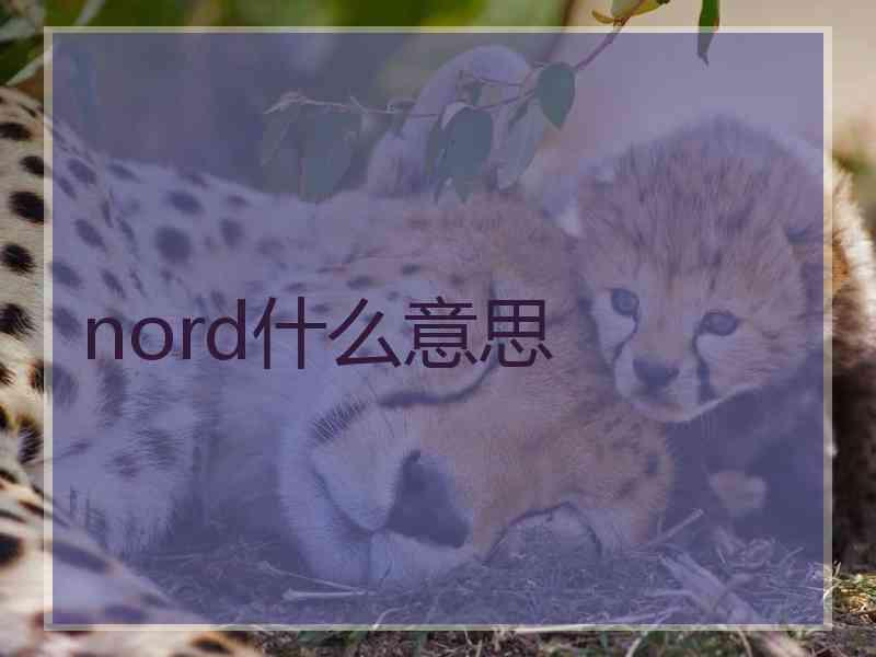 nord什么意思