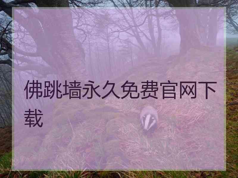 佛跳墙永久免费官网下载