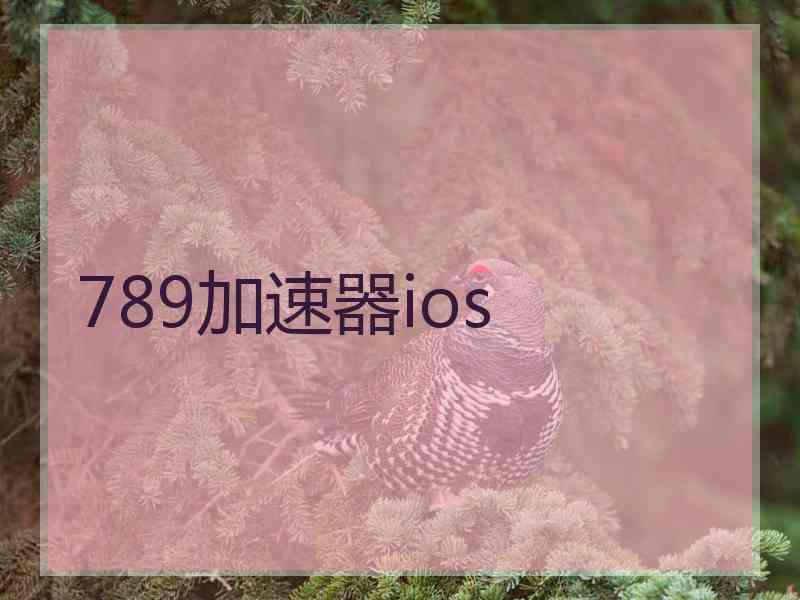 789加速器ios