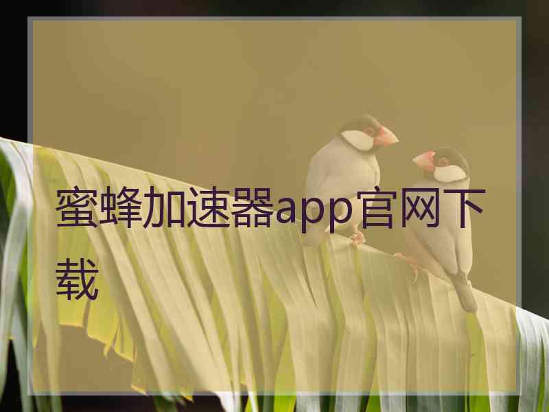 蜜蜂加速器app官网下载