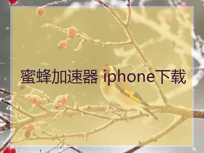 蜜蜂加速器 iphone下载