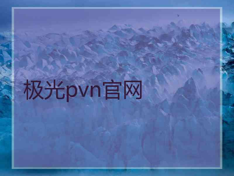 极光pvn官网