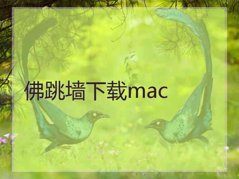 佛跳墙下载mac