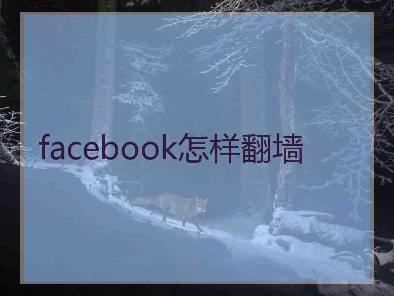 facebook怎样翻墙