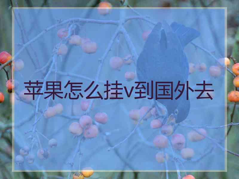 苹果怎么挂v到国外去